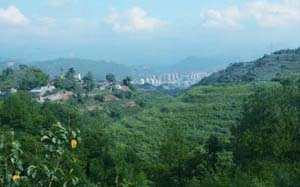 ��ʢ����Ƭ��(������Ŀ)