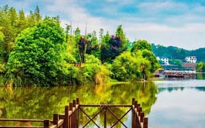 ����������������ι۹�